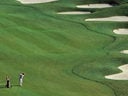 Golfcard