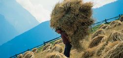 H�fewanderung