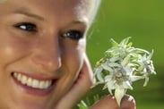 Bergblumen-Harmonie am Karersee