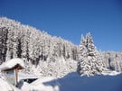 Winter impressions
