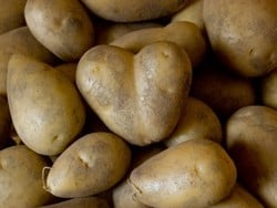 Massaggio delle mani con balsamo a base di estratto di patata