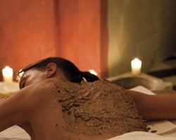 Cacao Pure Power