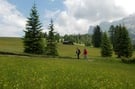 Escursione "Orchidee nelle Dolomiti"
