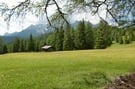 Escursione "Orchidee nelle Dolomiti"