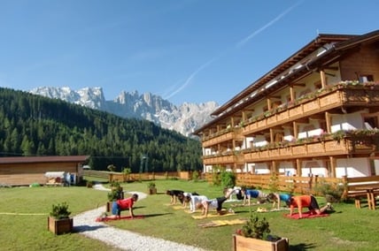 Morgengymnastik unterm Rosengarten