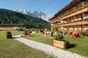 Morgengymnastik unterm Rosengarten