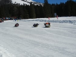 Event of the companies Iprona Ag and Trentofrutta at the Moseralm in the ski area Carezza